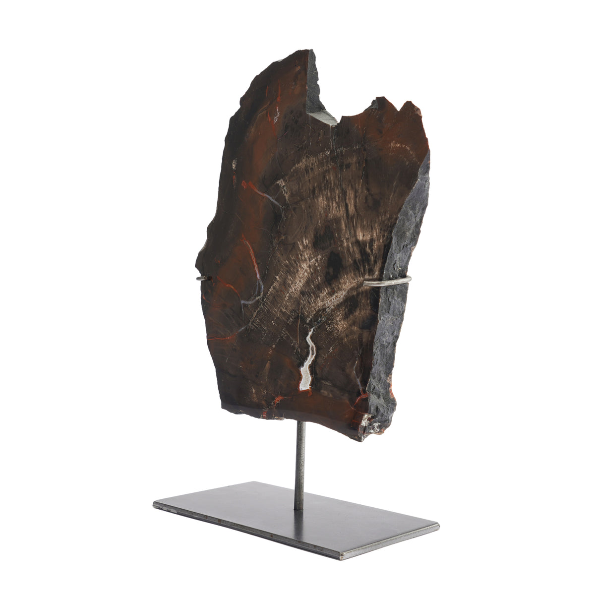 Geological specimen of Southwestern American petrified wood on stand