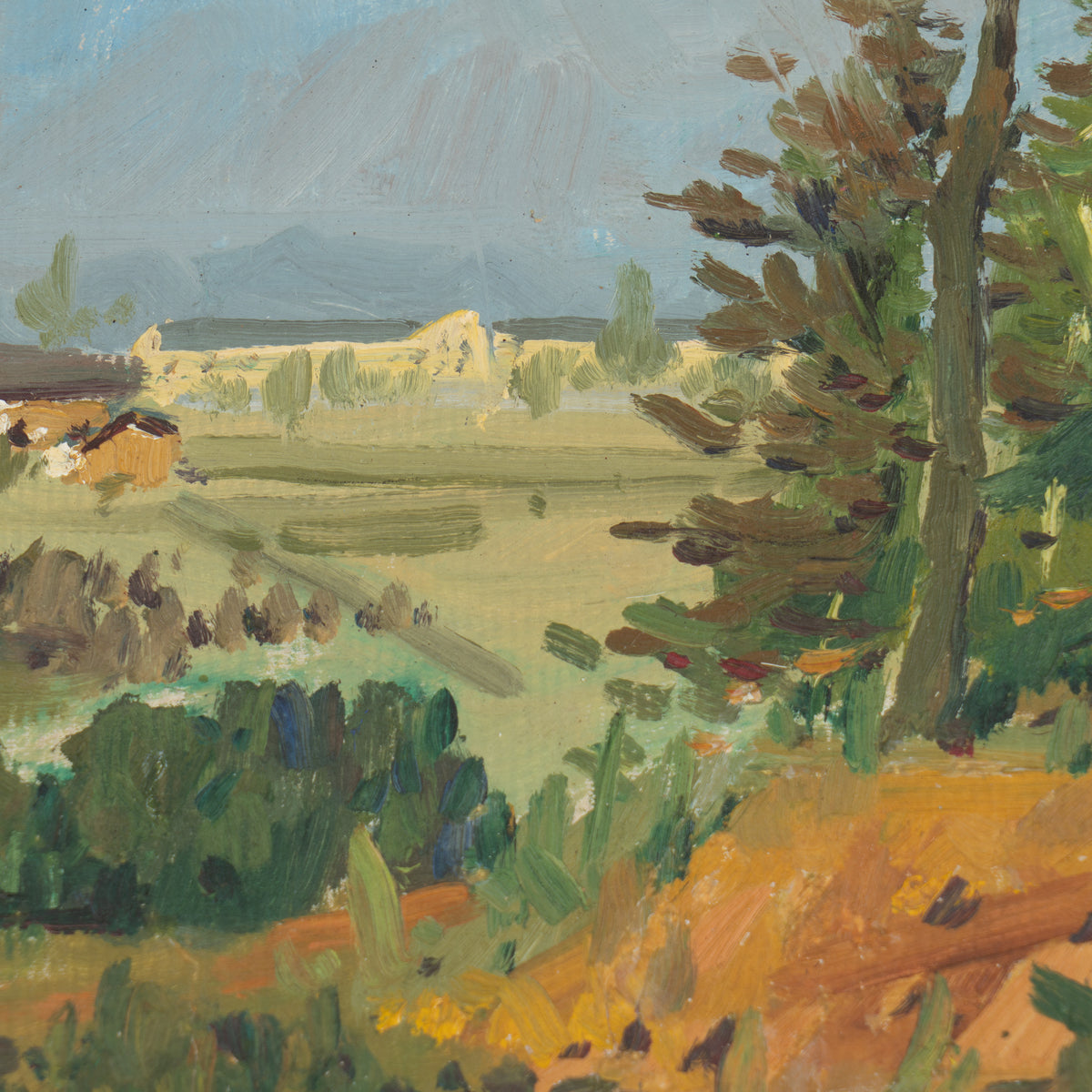 Wooded landscape, South of France, 1900-25